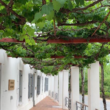 Port Wine Guesthouse カリッツドープ エクステリア 写真