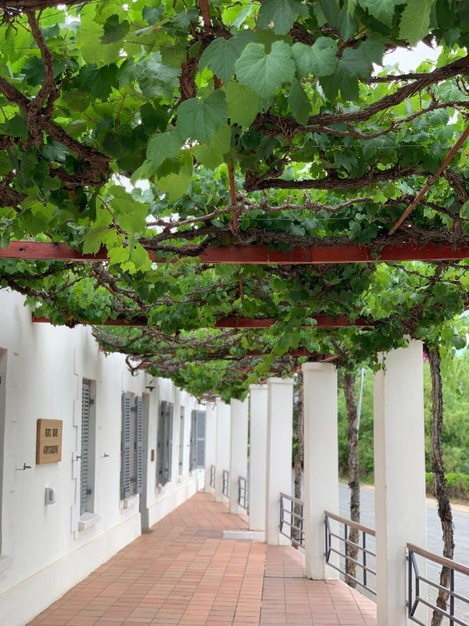 Port Wine Guesthouse カリッツドープ エクステリア 写真
